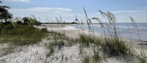 Une plage avec des dunes de sable et une végétation clairsemée.