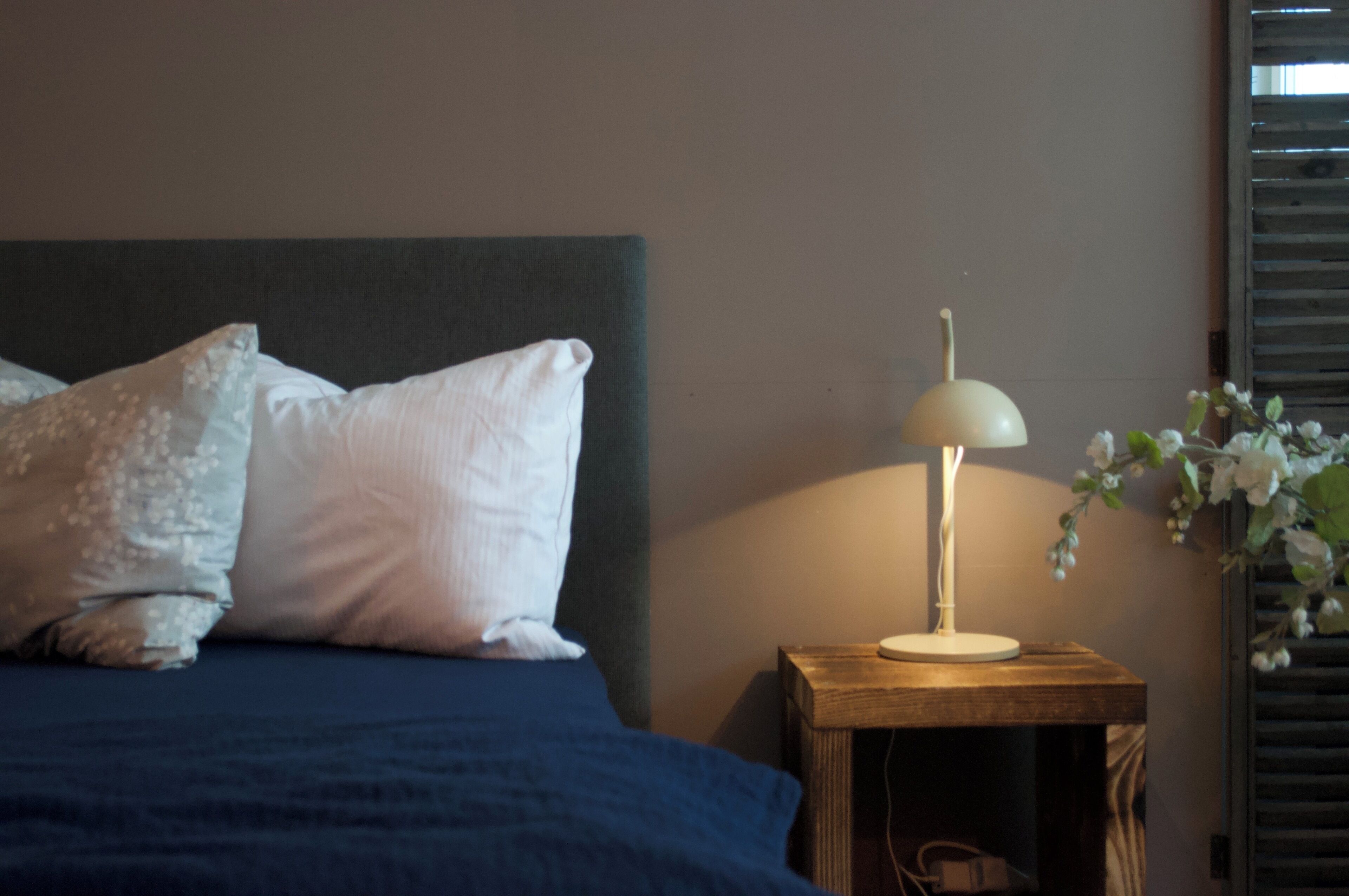 Un lit avec des oreillers, une table de chevet avec une lampe et une plante fixée au mur.