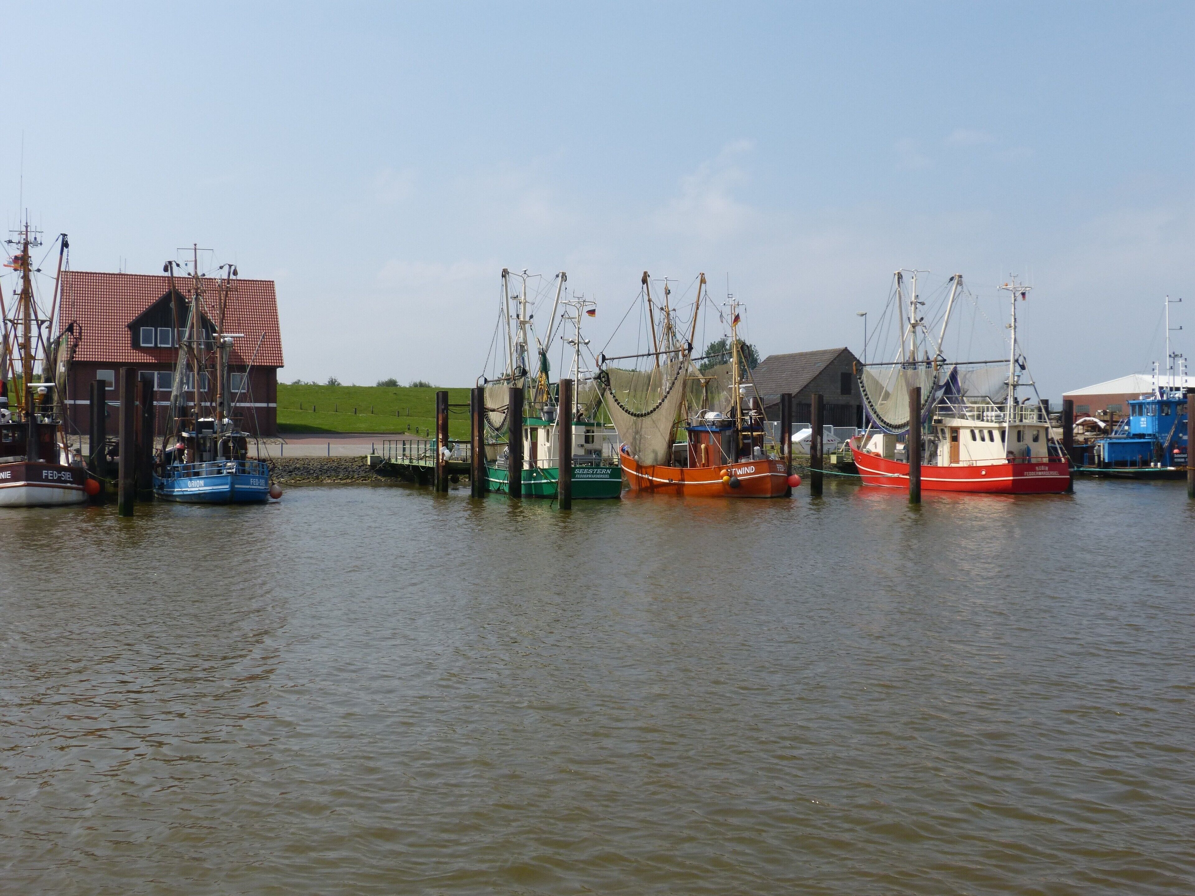 Ein Hafen mit mehreren dort liegenden Fischerbooten.