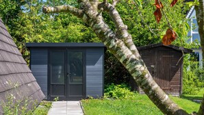 Un sendero lleva a un cobertizo oscuro con una puerta y ventanas, rodeado de follaje y un árbol con una hoja marrón.