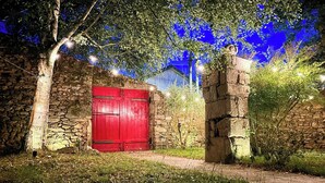 A stone building with a red door, surrounded by greenery and illuminated by string lights. - Galician stone house with hórreo and garden (Bustelo)