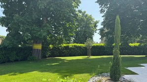 Ein gepflegter Garten mit verschiedenen Bäumen, einer Rasenfläche und einem Kiesweg.