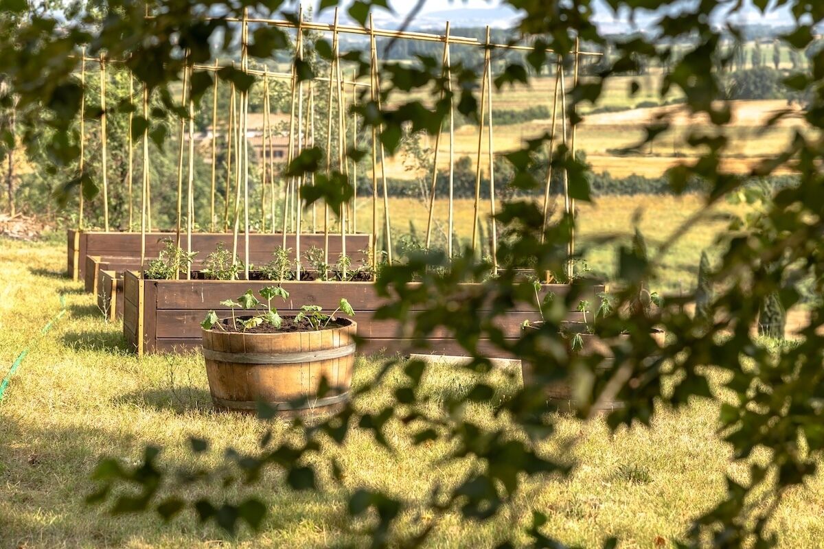 A garden with raised beds and a wooden bench.
