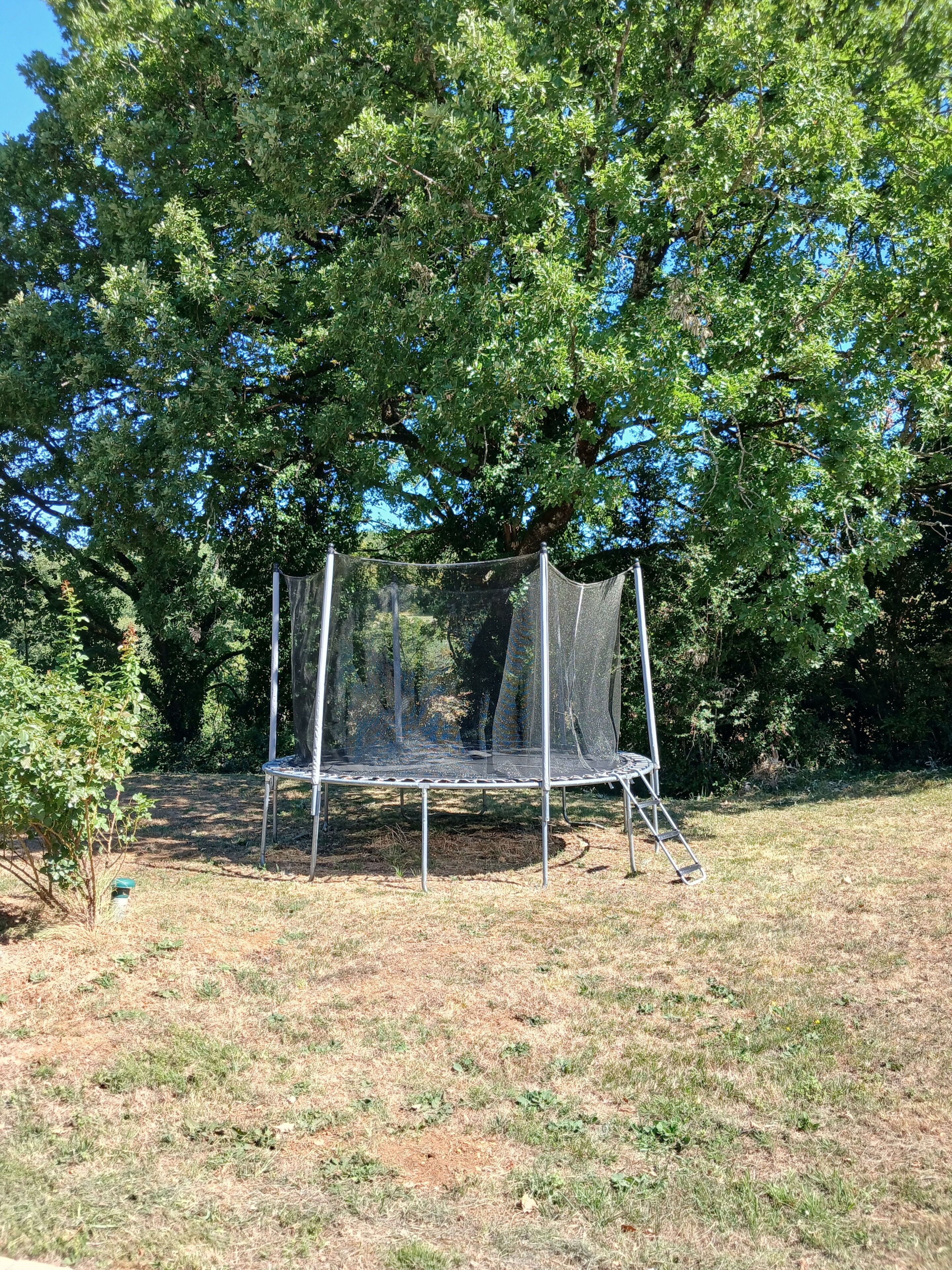 Ein Trampolin mit Sicherheitsnetz, umgeben von Bäumen und Gras.