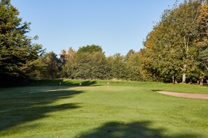 Ein Golfplatz mit blauem Himmel, gepflegtem Rasen und Bäumen im Hintergrund.