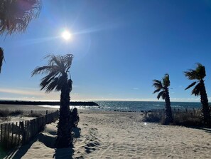 Ein Strand mit Palmen, einem Holzzaun und dem Meer.