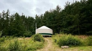 Una yurta a un piano con tetto conico, circondata da una fitta foresta, raggiungibile tramite un sentiero sterrato.