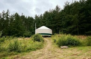 A single-story yurt with a conical roof, surrounded by dense forest, accessible by a dirt path. - Restart Kaszuby - Jurta w sercu Kaszub (Dejk)