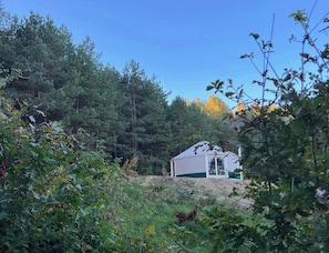 A single-story building with a white exterior and a green roof, surrounded by dense forest. - Restart Kashubia - Yurt in a Landscape Park (Dejk)