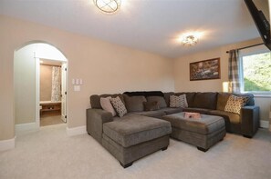 Smart TV, fireplace, DVD player, books
