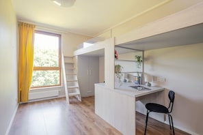 A room with a bunk bed, a desk with a chair, a radiator, a window with curtains, and a plant.