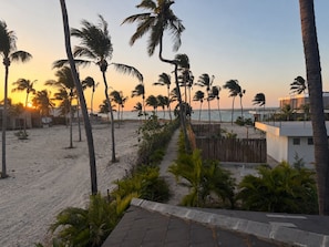 Una playa con palmeras y un edificio moderno de techo plano.