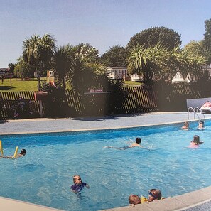 Ein Schwimmbecken mit Schwimmern, umgeben von einem Zaun und Palmen.