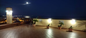 Eine Dachterrasse mit Topfpflanzen, Blick auf die Stadtlandschaft und ein Mond am Himmel.