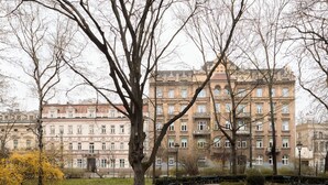 Ein Park mit einem großen Baum und einer Bank, im Hintergrund ein Gebäude mit vielen Fenstern.