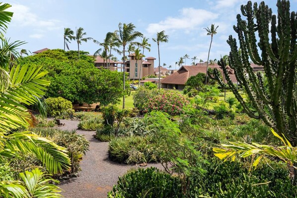 Un jardin luxuriant, où poussent de nombreuses espèces de plantes, et un sentier qui mène à un bâtiment surmonté d’un toit rouge.