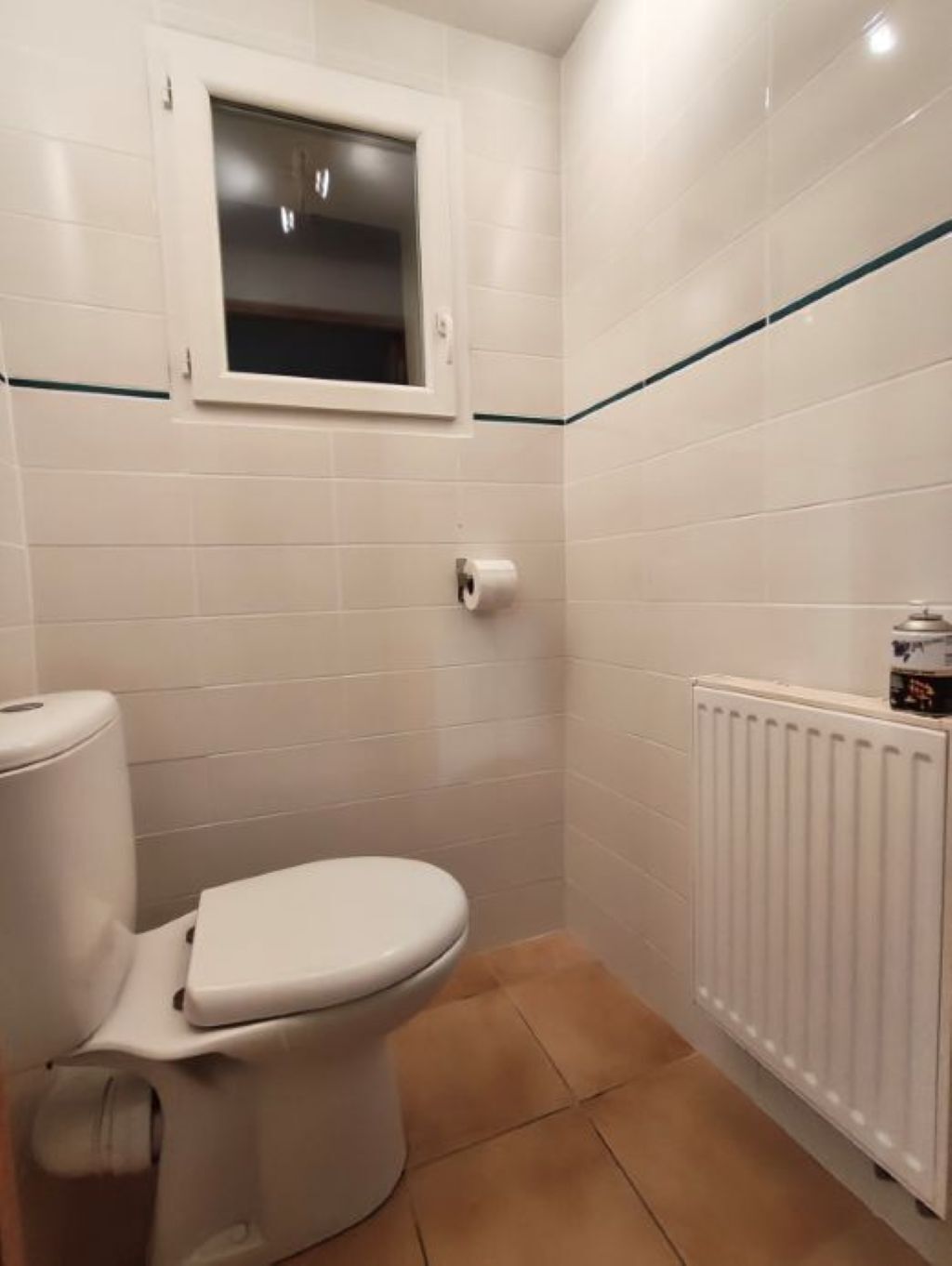 Douche, sèche-cheveux, serviettes fournies, papier toilette