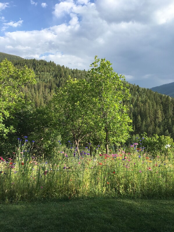 Miscellaneous - Resort at the ritz Carlton club aspen! 3 bedroom aug 15 to aug 22 (Aspen)