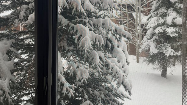 Een raam met uitzicht op met sneeuw bedekte bomen en een heldere lucht.