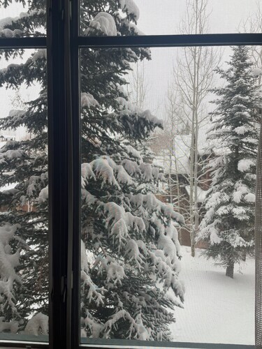 Resort at the ritz Carlton club aspen! 3 bedroom aug 15 to aug 22