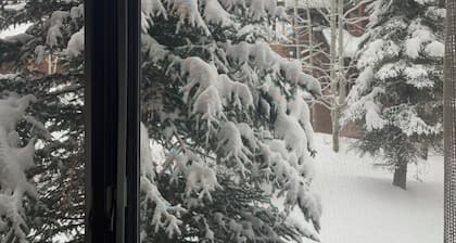 Resort at the ritz Carlton club aspen! 3 bedroom aug 15 to aug 22