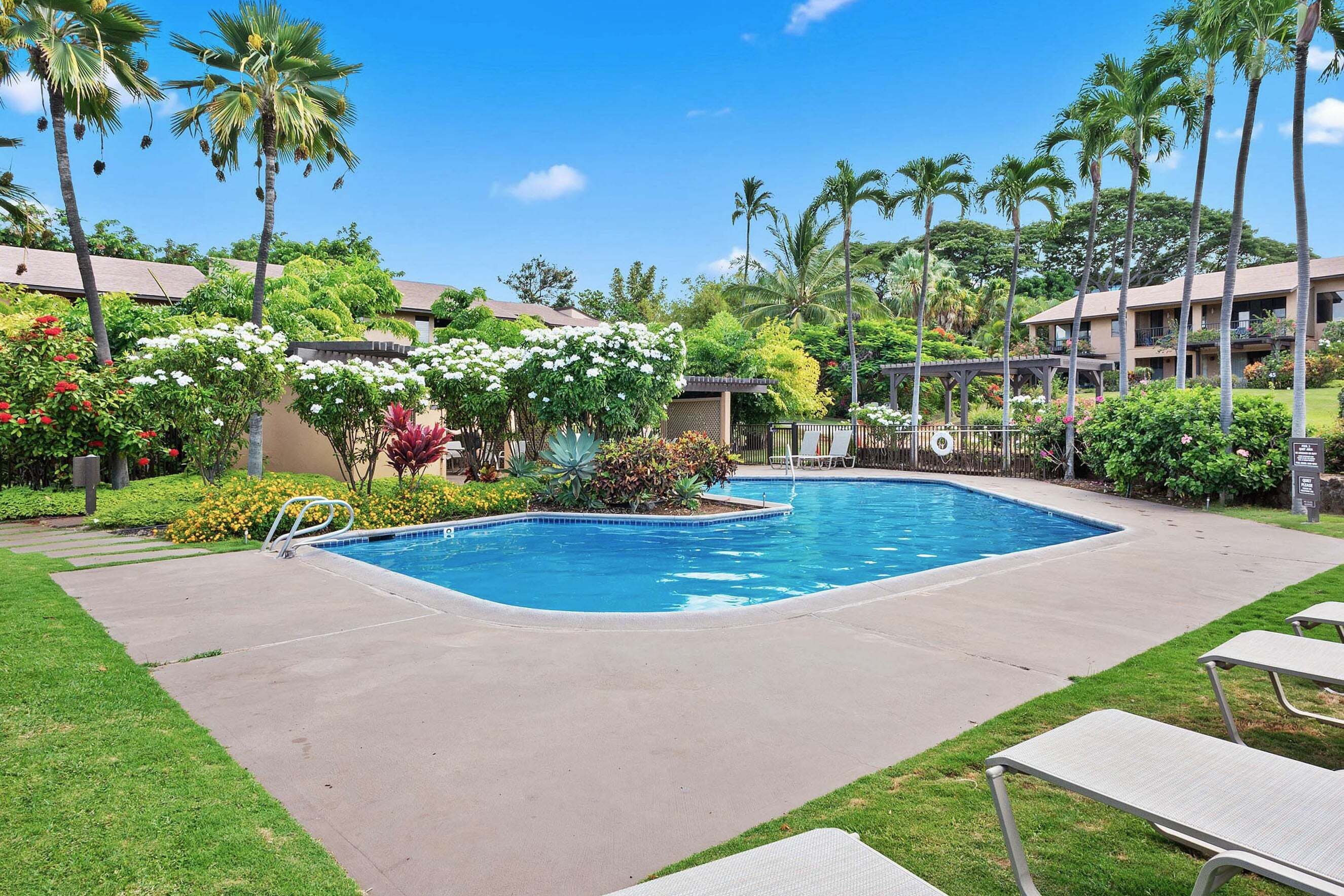 A swimming pool surrounded by palm trees and a covered walkway.
