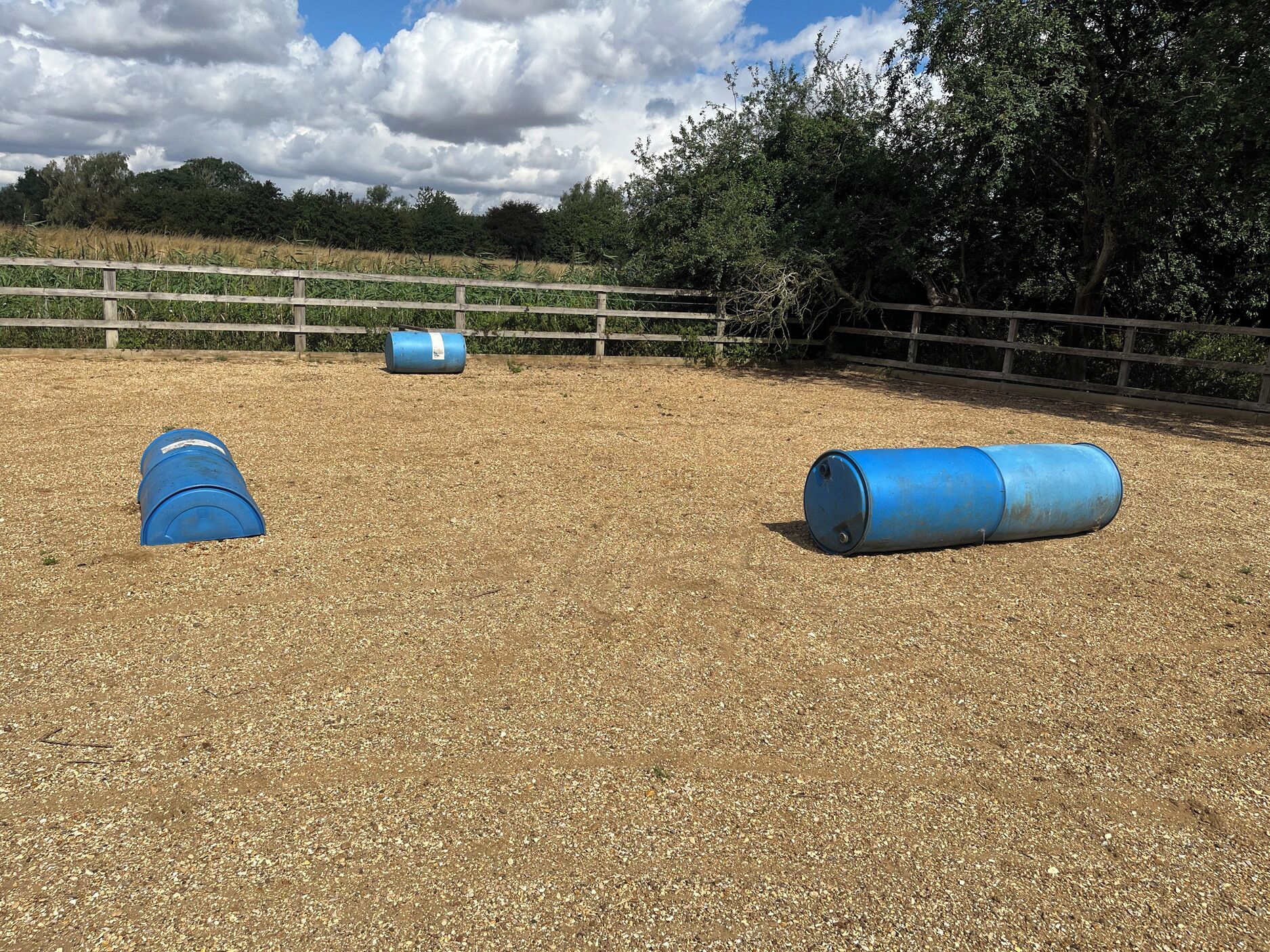 An outdoor training area with a dirt ground and wooden fences.