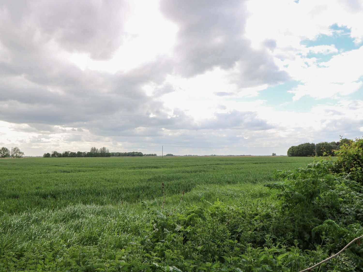 A vast green field with a power line in the distance and a cloudy sky.