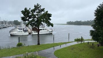 A marina with boats docked, a walking path, and a grassy area with trees.
