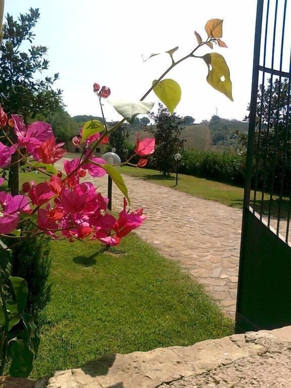Un camino pavimentado que conduce a un portón verde, con un jardín con flores rosas y una escultura.