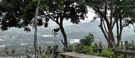 A rustic outdoor seating area with wooden benches and a view of a river and distant landscape.