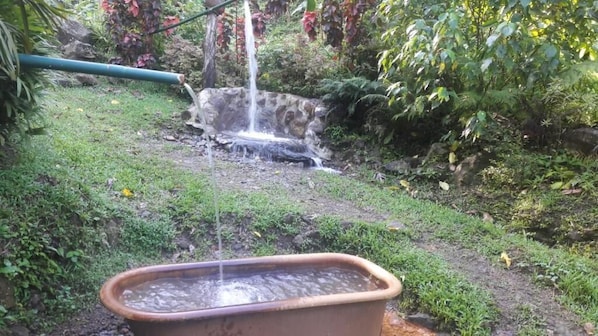 A garden with a water feature, including a pond and a small waterfall.