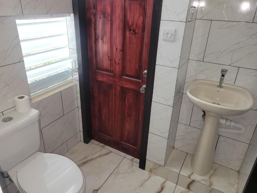 A bathroom with a toilet, a sink, and a wooden door.