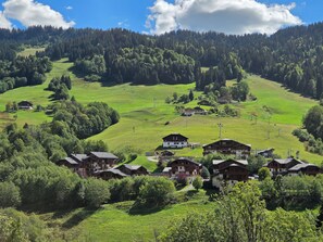 A rural village with traditional houses, a clear sky, and a forested hill in the background. - Ski-in/ski-out flat with terrace and pool (Flumet)