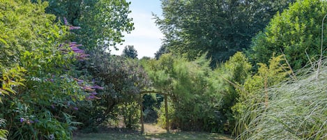 An outdoor seating area with a table and chairs, surrounded by lush greenery and various plants.