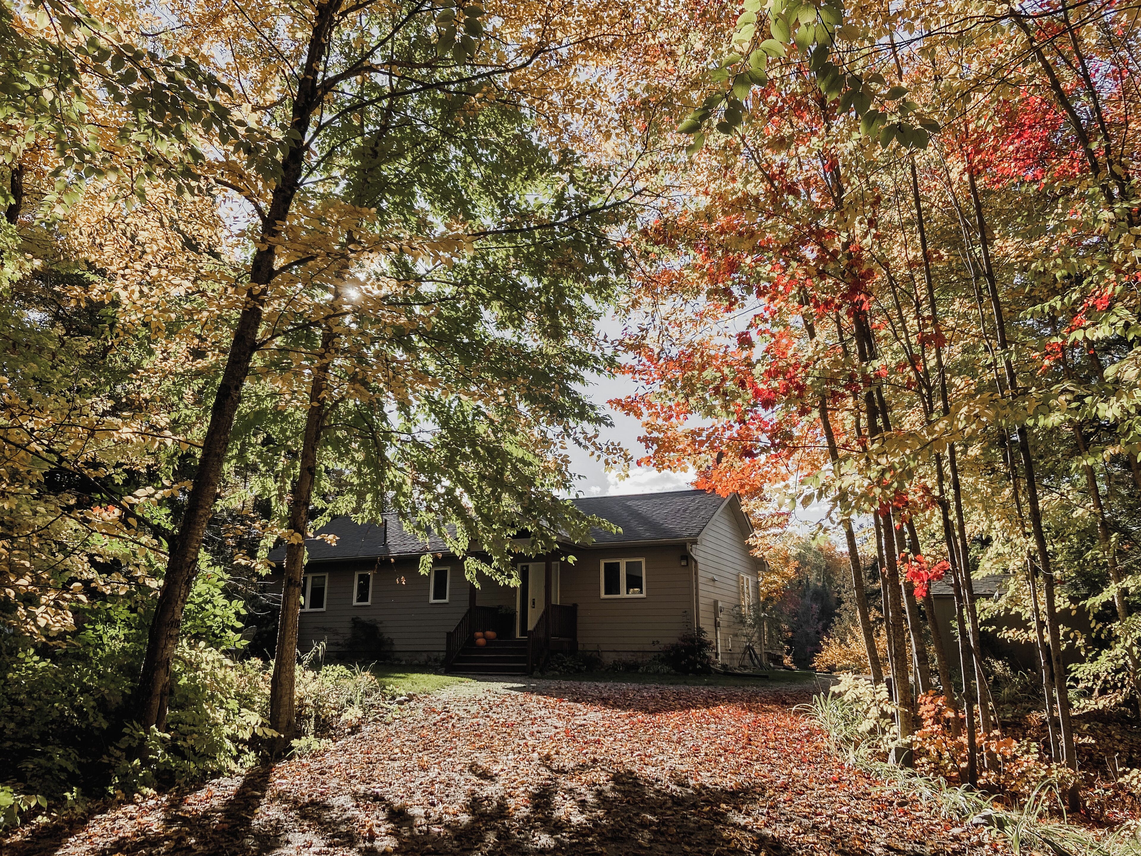 Une maison entourée d’arbres aux feuilles d’automne, sous un ciel dégagé, avec une pelouse bien entretenue.