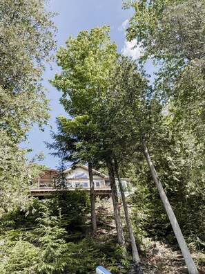 Ein Haus, umgeben von dichtem Wald, bewölkter Himmel.
