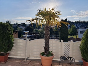 Ein von einer Mauer umschlossener Außenbereich mit einer Palme, einem Topfpflanzen und einem Metallstuhl.