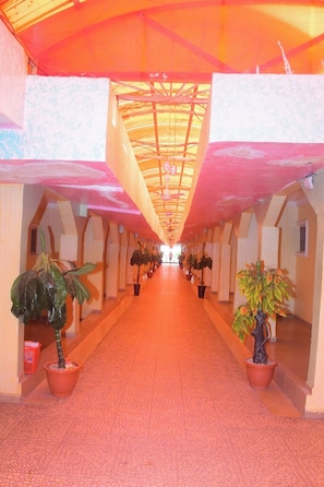 Imagen general