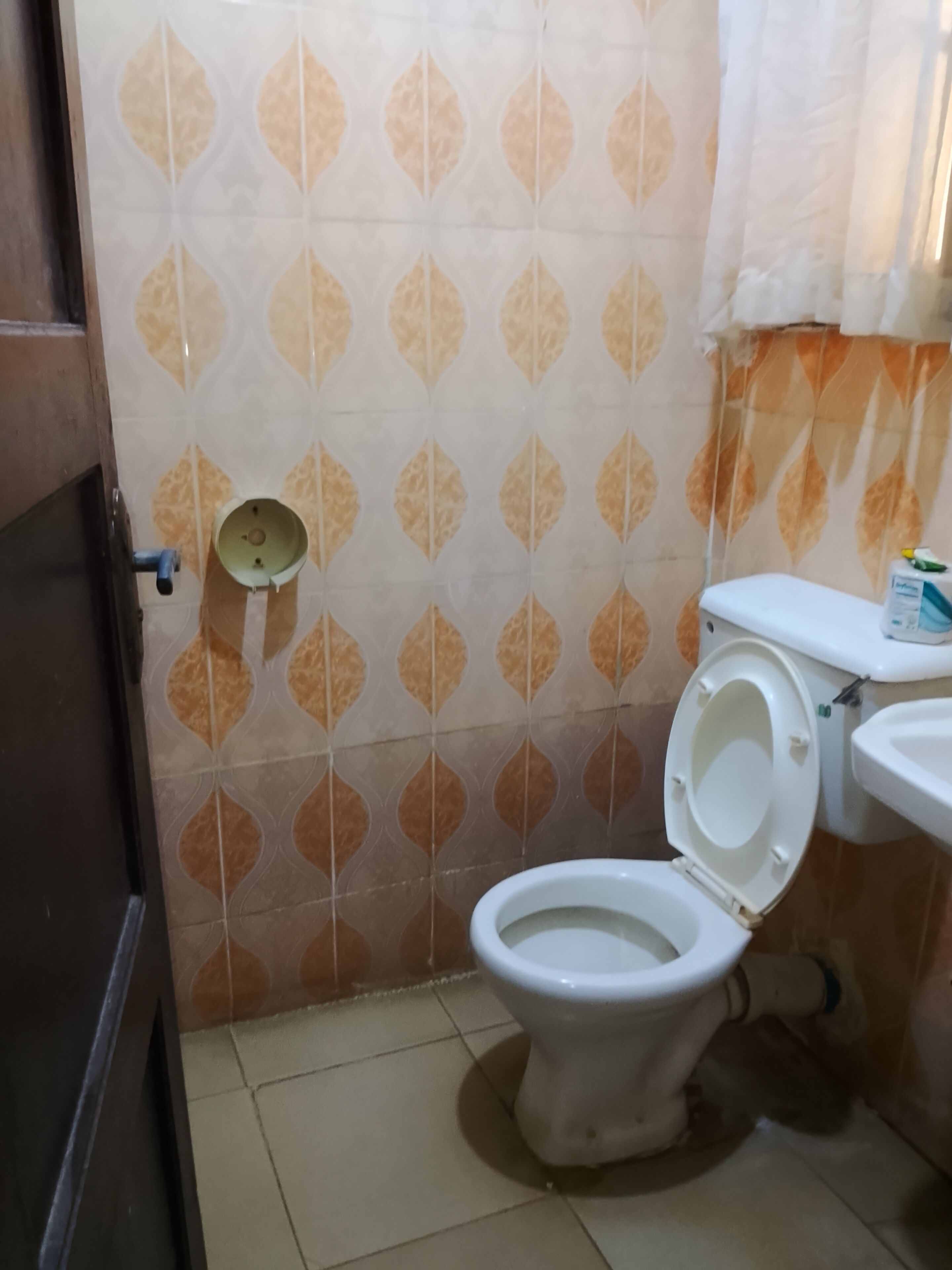 A bathroom with a toilet, a sink, and patterned tiles.