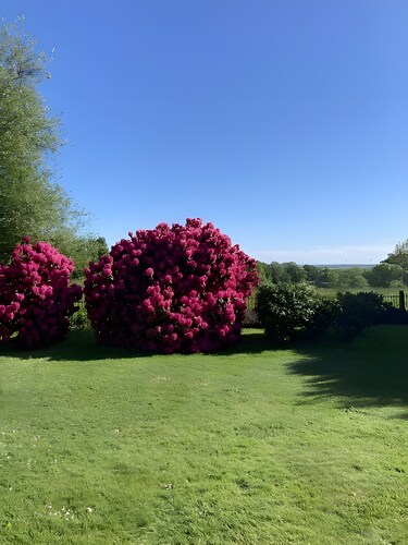 Bed and Breakfast 'Sous Les Bruyères' with Private Terrace, Private Garden and Wi-Fi