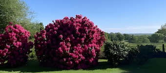 Bed and Breakfast 'Sous Les Bruyères' with Private Terrace, Private Garden and Wi-Fi