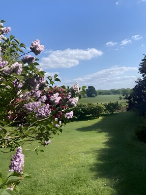 A grassy pathway with blooming lilac bushes and a clear blue sky. - Bed and Breakfast 'Sous Les Bruyères' with Private Terrace, Private Garden and Wi-Fi (Sainte-Marguerite-sur-Mer)