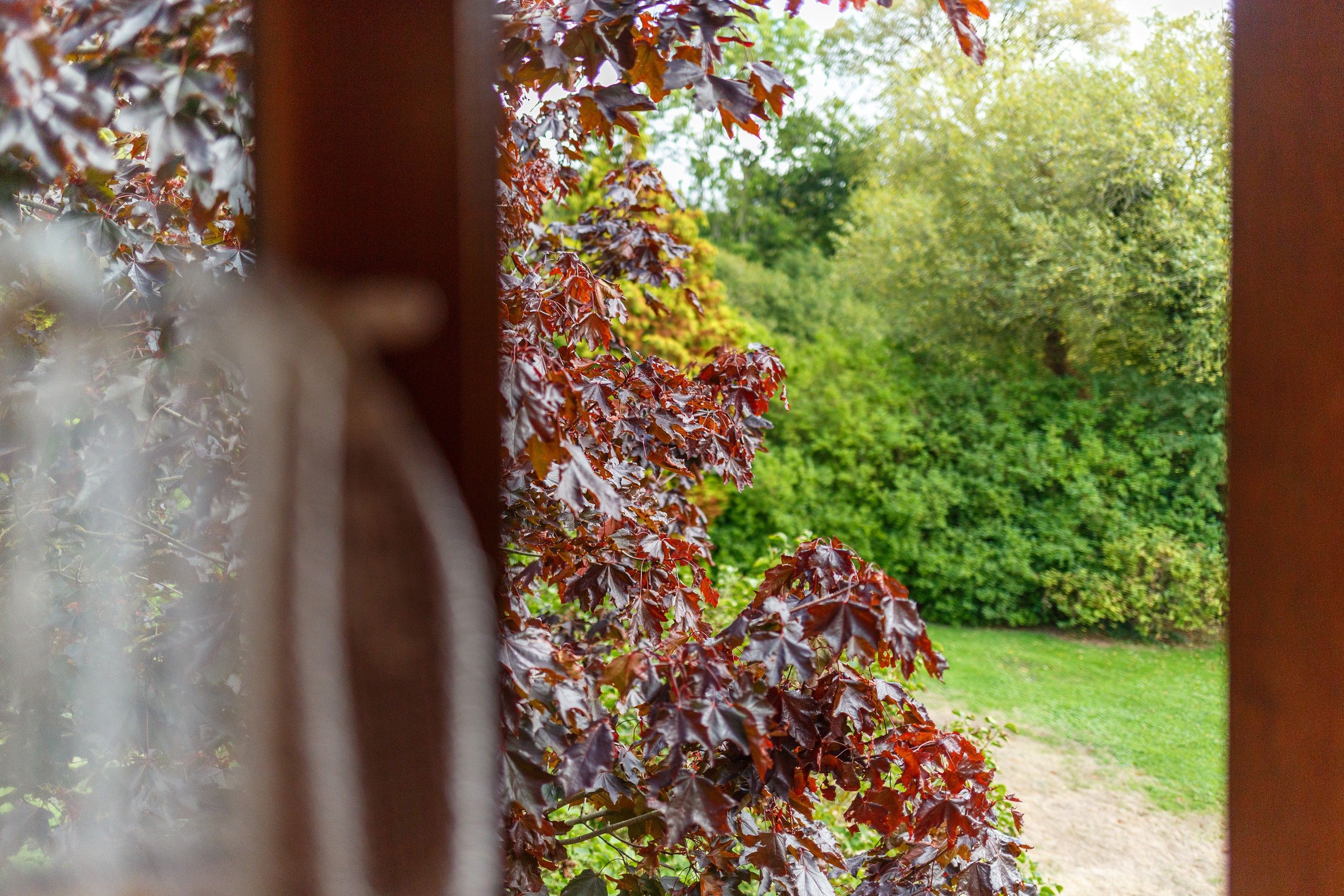 Une vue à travers une porte vitrée, avec un jardin visible à l'extérieur.