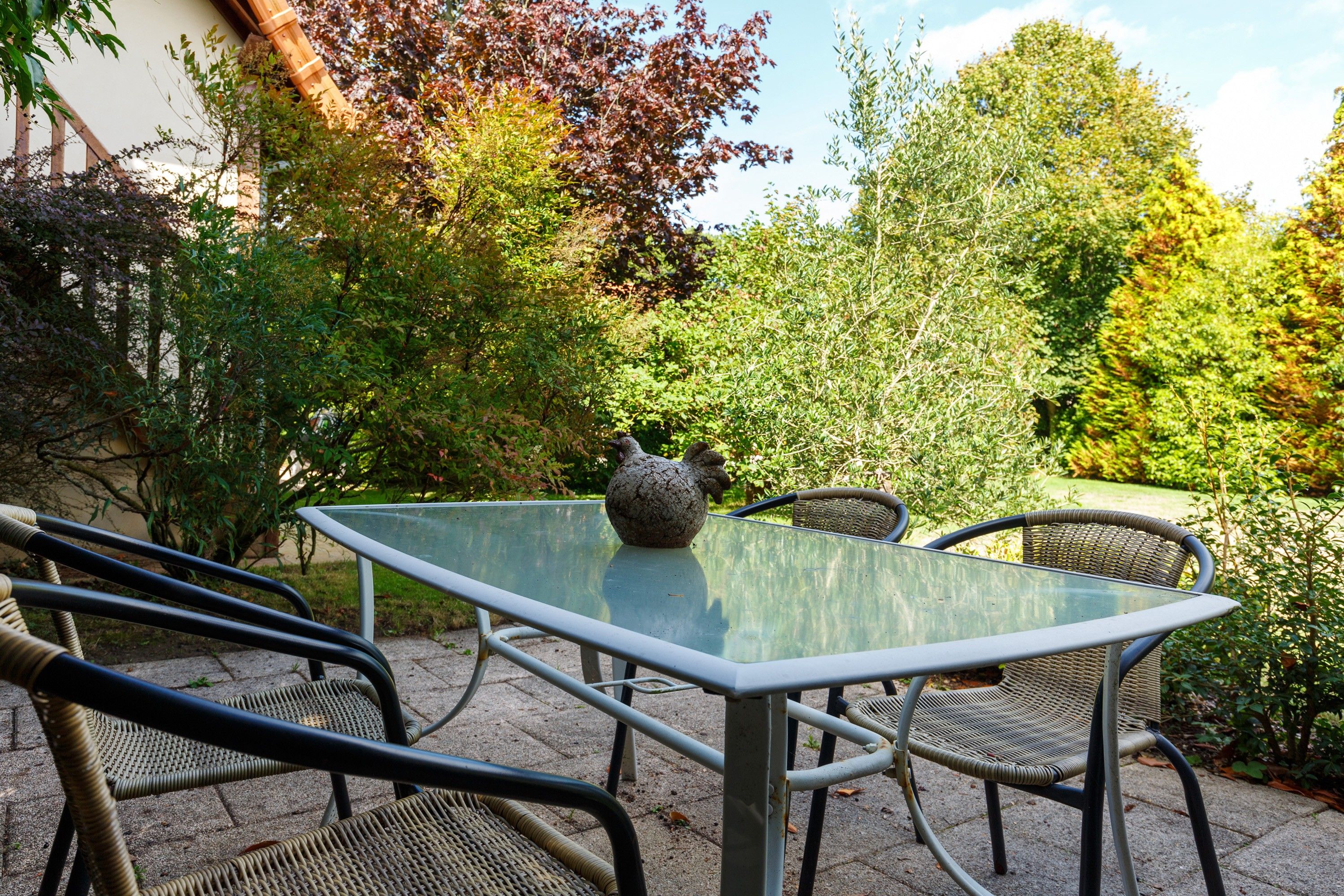 Une terrasse extérieure avec une table en verre et des chaises en osier, entourée d’une végétation luxuriante et d’arbres.
