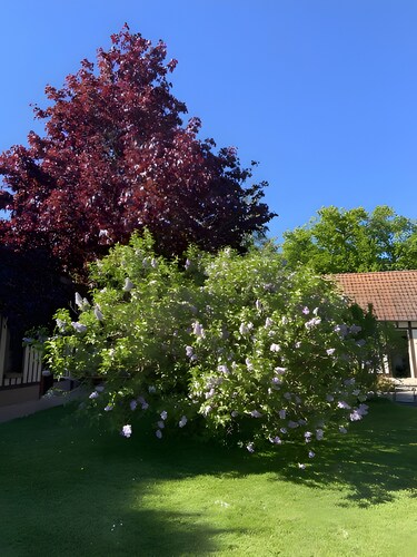 Chambre d’hôtes « Sous Les Bruyères » avec terrasse, jardin privés et Wi-Fi