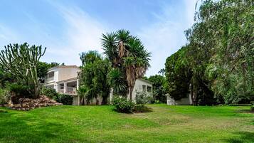 A residential area with a white house, a well-maintained lawn, and various trees.
