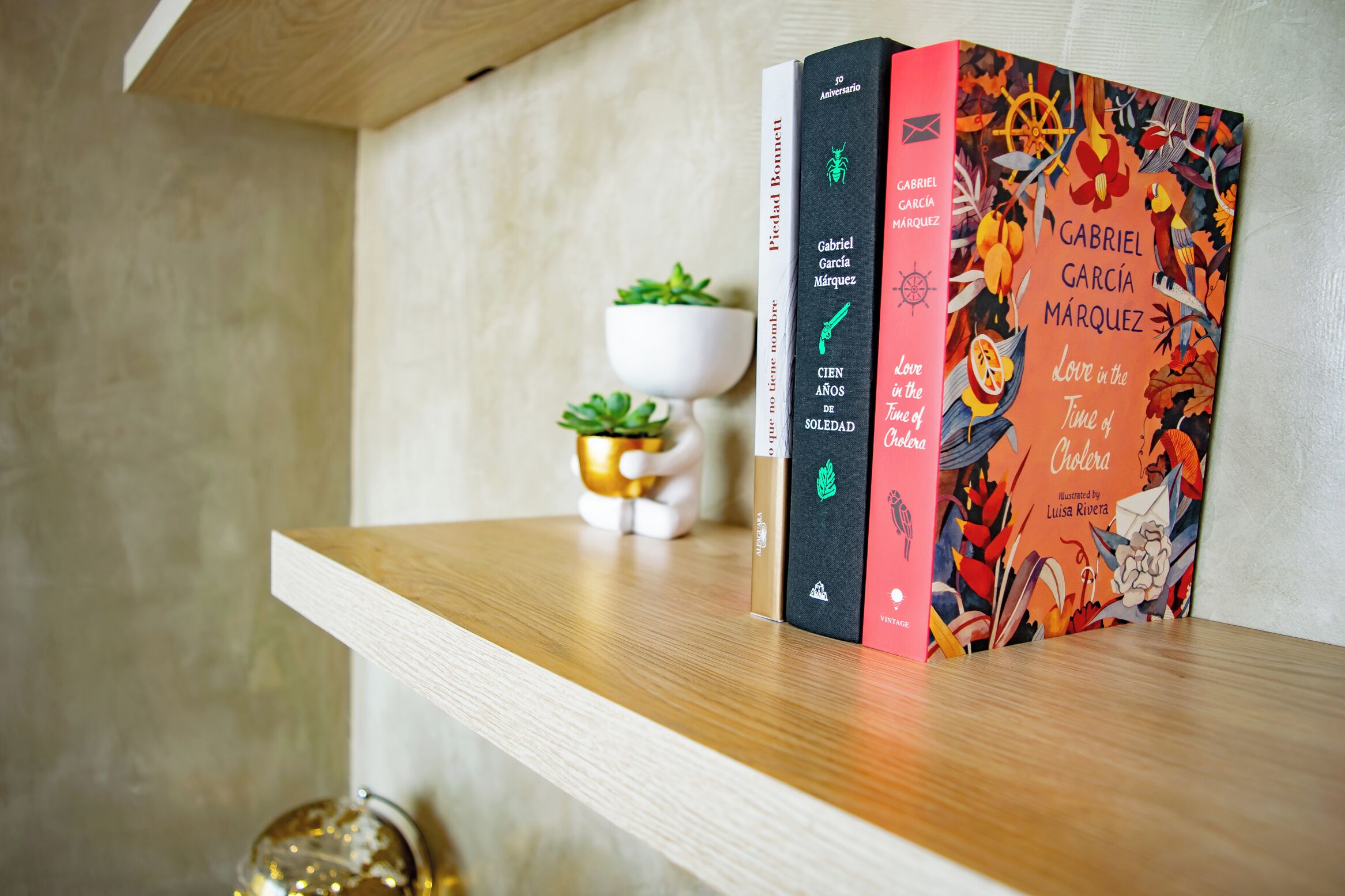A shelf with books and a small potted plant.