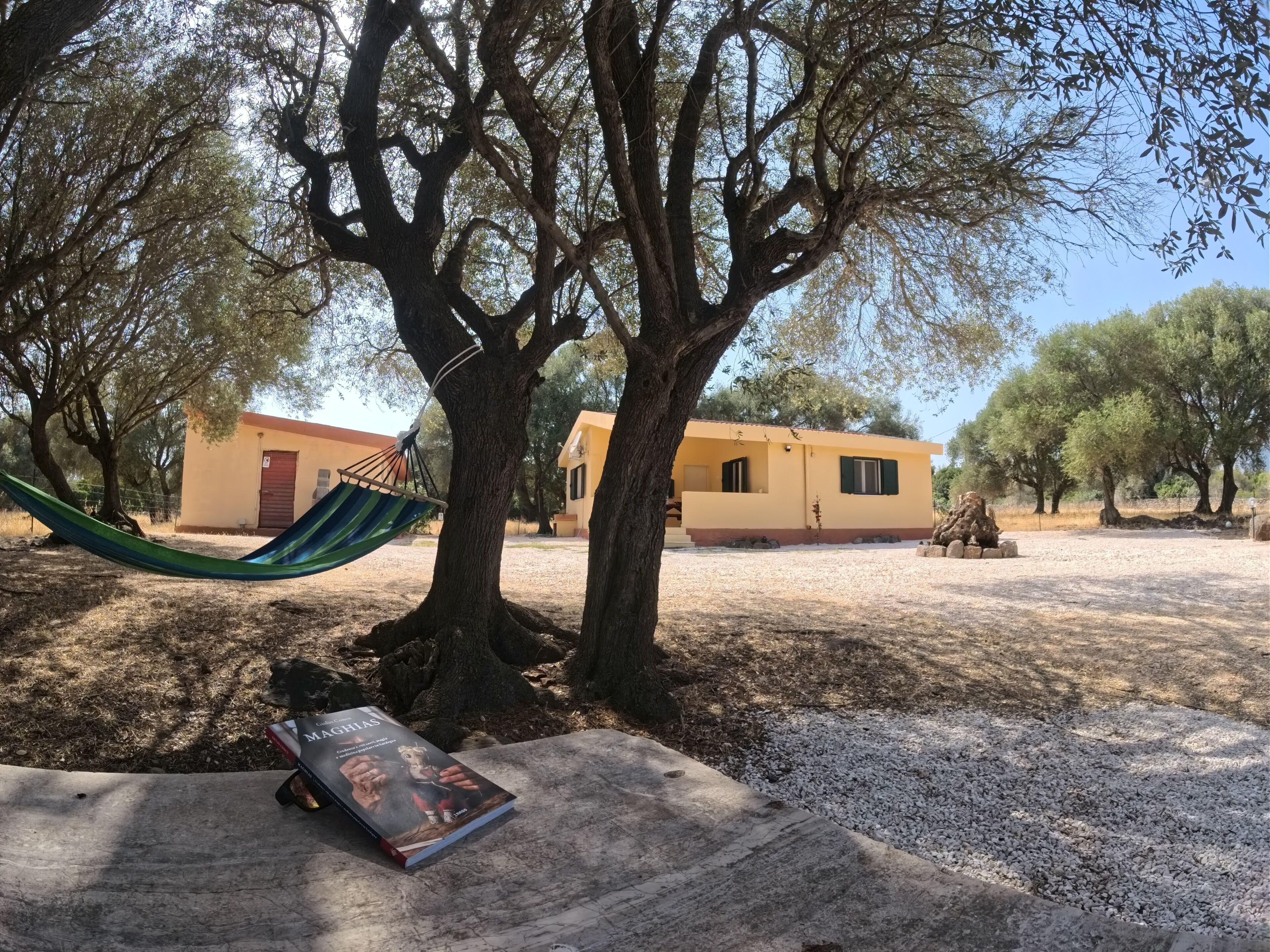 A hammock under a tree, a book on a table, and a building in the background.