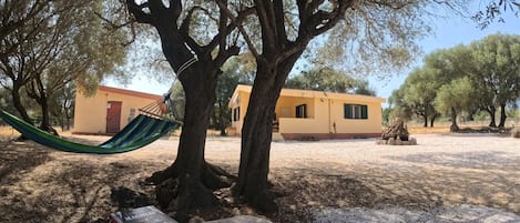 Una hamaca bajo un árbol, un libro sobre una mesa y un edificio al fondo.